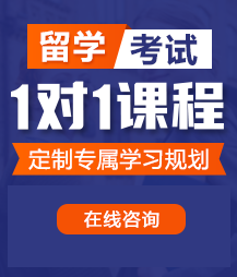 激情刺激狂伦视频操逼网站留学考试一对一精品课